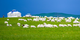 2023.6.2-5日 內蒙古 ? 呼和浩特 新媒體運營(yíng)與直播研討班 誠邀您的光臨！